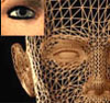 Net Ninja will Teach You and Your 'Computer'(s) and network infrastructure how to be Internet Vigilant.